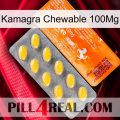 Kamagra Chewable 100Mg new05